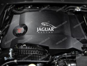 Jaguar Racing Autocollant pour capot moteur