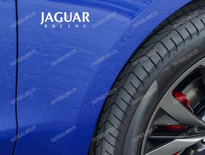 Jaguar Racing autocollants pour ailes